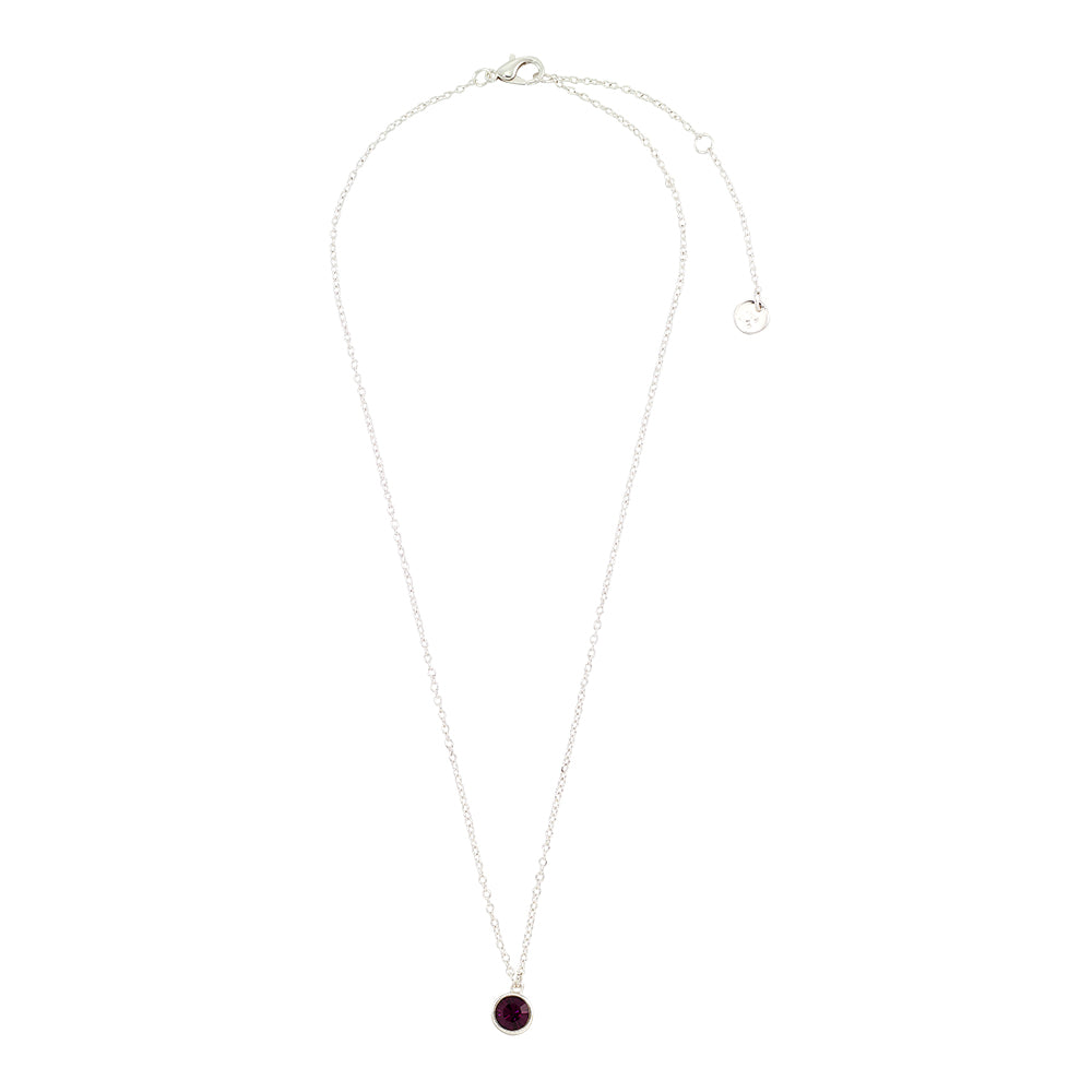 February Amethyst Birthstone Necklace